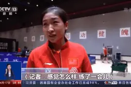 刘诗雯术后回归赛场 老搭档备战乒乓球混双图片