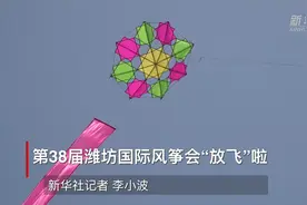 新华全媒+|放飞的幸福——第三十八届潍坊国际风筝会侧记图片