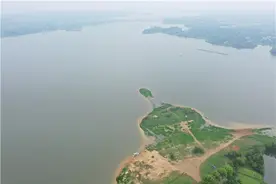 湖湘地理 |“吃”芦苇长大的沅江芦菇，敢为天下“鲜”图片