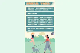 “铲屎官”注意了！5月1日起遛狗不牵绳将违法图片
