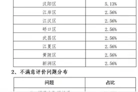 问责处理48人，武汉首期“双评议”结果公布图片