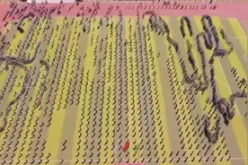 49秒｜既锻炼身体 又缓解压力！3000余名学生课间操玩“贪吃蛇大作战”视频封面