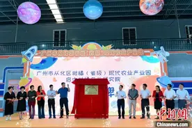 广州成立柑橘产业研究院 打响柑橘“粤字号”品牌图片