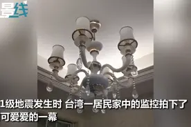 台湾地震小朋友第一时间救猫，冲进客厅一把抱走！网友：优秀的铲屎官图片