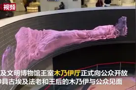 20具古埃及法老王后木乃伊展出，网友：太神秘了图片