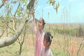 威海市文登区万亩桃花开 赏花正当时视频封面