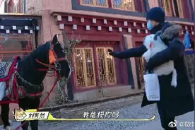 丁真骑了刘昊然在理塘摸过的马 网友：这该死的缘分妙不可言图片