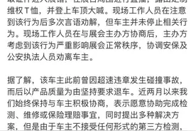 特斯拉展台变维权现场，陶琳为何拒绝妥协？大喊“刹车失灵”，她是谁图片