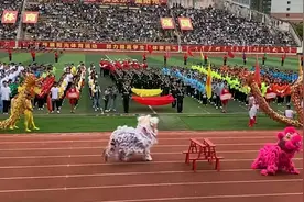 42秒｜萌翻了！大学生运动会上舞狮活灵活现 连候场都在卖萌图片