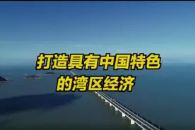 大湾区大未来｜全球四大湾区 粤港澳大湾区最特别视频封面