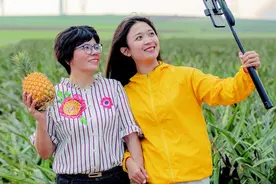 “菠萝姐妹”在“菠萝的海”弄潮追梦图片