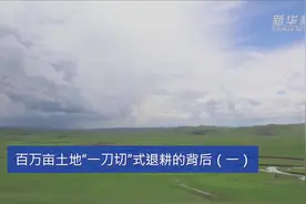百万亩土地“一刀切”式退耕的背后视频封面