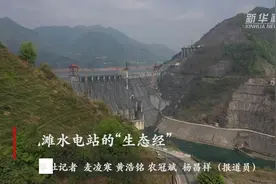 龙滩水电站的“生态经”视频封面