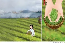 “谷雨”被联合国选中，这件事你了解多少？图片