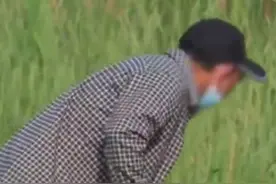 男子在北京奥森公园用弹弓打育雏䴙䴘，警方已介入视频封面