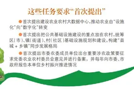 青岛确定未来五年“三农”工作思路 2025年率先基本实现农业农村现代化图片