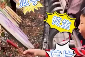 别再喂了！动物园红猩猩被游客喂出高血糖，网友：爱心超标了图片