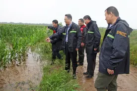 山东人保财险积极承担社会责任图片