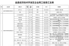 近1000个招聘岗位，甘肃有色冶金职业技术学院与金昌经开区联合招聘企业用工人员图片
