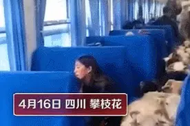火了！成群的猪羊在火车上穿行……网友：我也想拍猪屁股图片