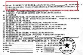 风暴中的贝壳：“二选一”涉垄断虚实图片
