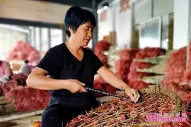 济宁嘉祥：小扫帚 大产业 扎出一条“致富路”图片