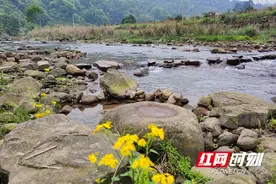 红色引领 绿色崛起丨石门两河口村：传承烈士精神 振兴美丽乡村图片