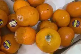 合肥一幼儿园被指用腐烂果蔬，离职教师：孩子曾吃出毛毛虫视频封面