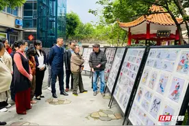 百年风华 芙蓉绽放图片