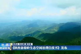 秦岭生态空间如何治理，这本白皮书里有答案图片