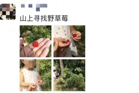 杭州有人四处托人找这东西！以前村里遍地都是，现在身价暴涨……图片