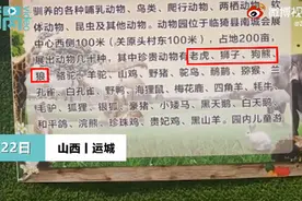 山西一动物园圈养泰迪？园方回应：林业局整顿，只剩一些萌宠图片