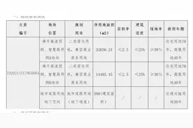 禅西东平河畔挂牌4.7万㎡靓地图片