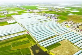 淮南市决战决胜脱贫攻坚战纪实⑭电商扶贫篇图片