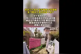 安徽一孕妇徒手爬上16楼偷东西，女房主开窗当场吓懵图片