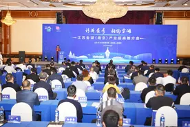 16个亿元以上项目签约！金湖产业招商推介会在宁举行图片