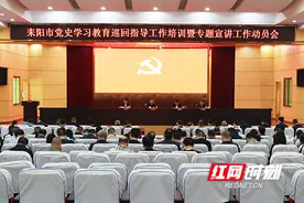 湖南耒阳市：提任务 教方法 确保党史学习教育巡回指导精准实效图片