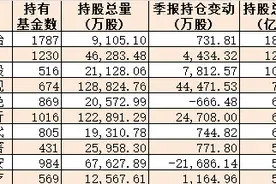 公募基金一季度十大重仓股曝光！白酒仍占三席，海康威视、招商银行被扫货，但有两只个股却被甩卖出局（附名单）图片