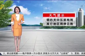 降雨持续！半岛东部中到大雨，局部暴雨，鲁中和鲁东南有雾出现视频封面