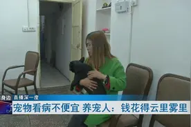 宠物看病比人还贵！养宠人不知钱花在哪？记者揭秘图片