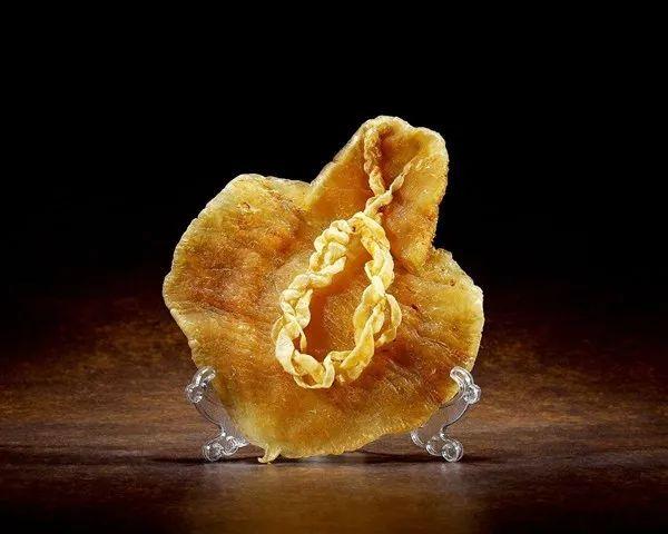 鳝鱼鱼肚是花胶吗 2026年鳝鱼肚的功效与作用