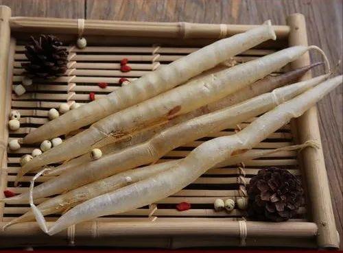 鳝鱼鱼肚是花胶吗 2026年鳝鱼肚的功效与作用