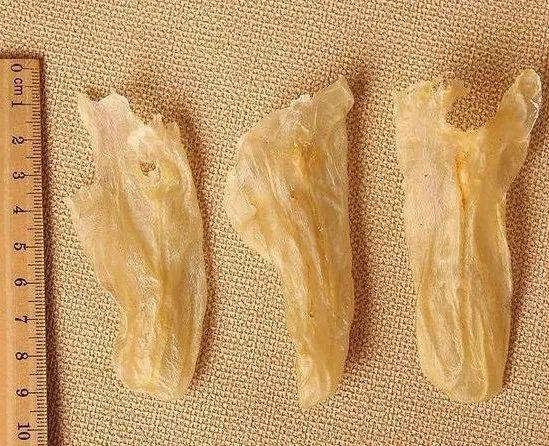 有恶露吃花胶吗 2026年有恶露吃花胶吗会怎么样