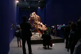 64秒丨科学家发现霸王龙行走速度接近人类 但最高时速还在探索视频封面