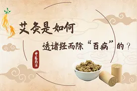「健康解码」文碧玲：艾灸是如何透诸经而除“百病”的？图片