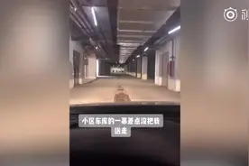 女子车库看到“一群大象甩鼻”吓一跳，镜头拉近笑翻图片