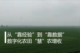 从“靠经验”到“靠数据” 数字化农田“慧”农增收视频封面