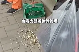 辽宁大连一女子嗑瓜子扔一地瓜子皮，环卫工人等着她嗑完打扫图片