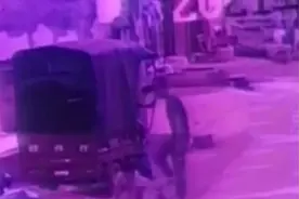 广西老人家遭熊孩子多次扔石子，忍无可忍当街掌掴男孩，家属起诉图片