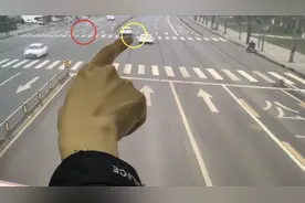 爱犬被撞身亡 主人拿百万要司机命？图片